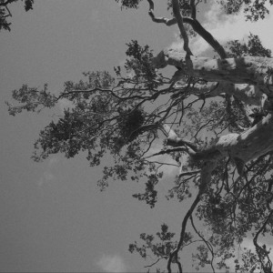 收聽Belu的Intersección歌詞歌曲