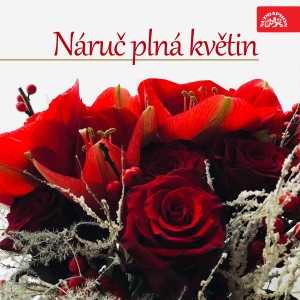 Listen to Tobě, lásko má song with lyrics from Galla Macků