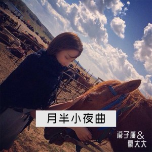 Listen to 月半小夜曲 (DJ弹鼓版) song with lyrics from 浪子康