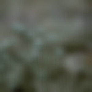 收听Erot的Aftermost歌词歌曲