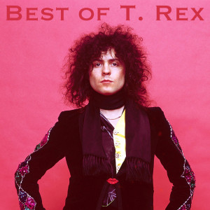 Various Artists的專輯Best of T.Rex