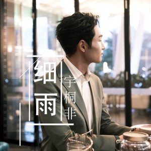 Album 细雨 from 
