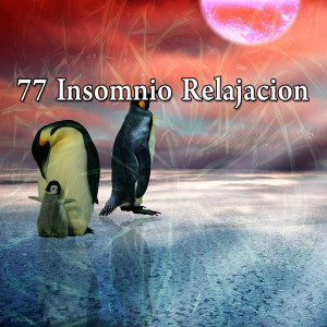 Ocean Sound的專輯77 Insomnio Relajacion