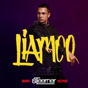 ดาวน์โหลดและฟังเพลง Burn (Steerner Remix) พร้อมเนื้อเพลงจาก LIAMOO