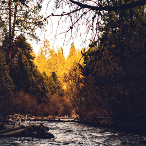 Dengarkan A Good World lagu dari Pro Sounds of Nature dengan lirik
