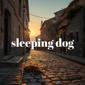 Album sleeping dog from 