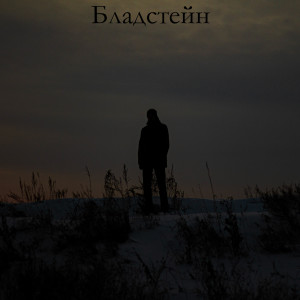 Listen to Бладстейн (Explicit) song with lyrics from Tood