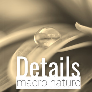 ดาวน์โหลดและฟังเพลง Lost Days (Alt-Mix) พร้อมเนื้อเพลงจาก Adam Fielding