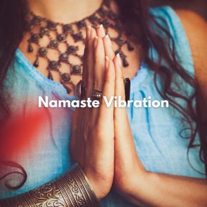 Album Namaste Vibration oleh Spiritual Moment