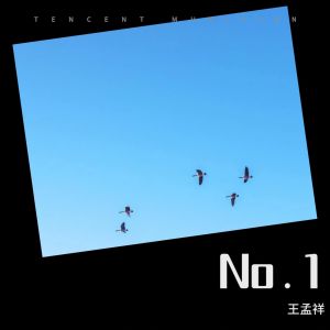 Album No.1 from 王孟祥