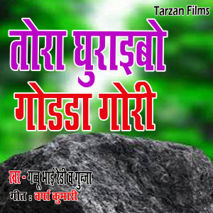 Listen to Tora Ghuraibo Godda Gori song with lyrics from Gabu Bhai Ready