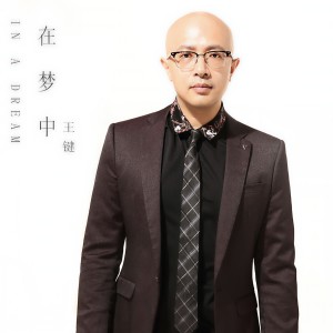 收聽王鍵的在夢中歌詞歌曲