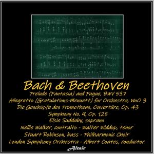 Bach & Beethoven: Prelude (Fantasia) and Fugue, Bwv 537 - Allegretto [Gratulations-Menuett] for Orchestra, WoO 3 - Die Geschöpfe des Prometheus, Ouvertüre, OP. 43 - Symphony NO. 9, OP. 125