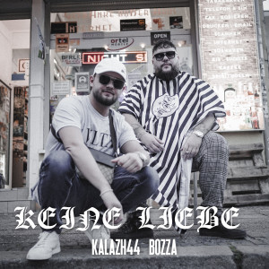 Album Keine Liebe from Kalazh44