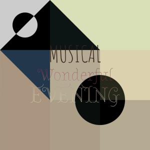 Various的专辑Musical Wonderful Evening