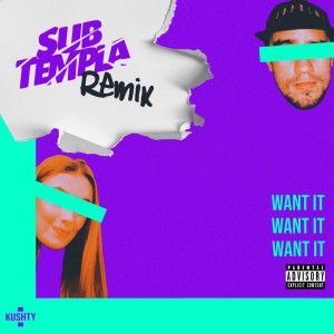 Joe Burger的專輯Want It (Sub Templa Remix)