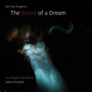 ดาวน์โหลดและฟังเพลง White Sky, Black Clouds พร้อมเนื้อเพลงจาก Adam Rudolph