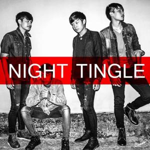 Dengarkan เกินความจำเป็น lagu dari Night tingle dengan lirik