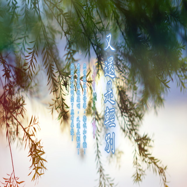 收聽周志宏的曉風淚痕 (加長版)歌詞歌曲