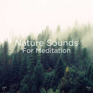 Listen to Relaxing Rain song with lyrics from BodyHI