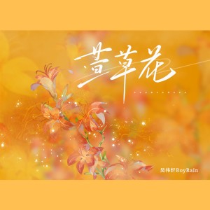 Album 萱草花 from 吴伟轩RoyRain