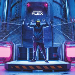 Neotek的專輯FLEX