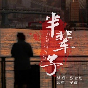 Album 半辈子 from 张艺迈
