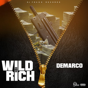 DeMarco的专辑Wild and Rich (Explicit)