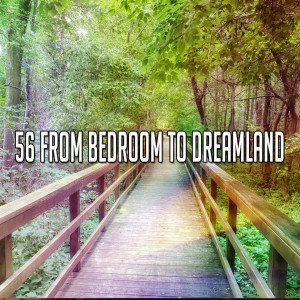 收听All Night Sleeping Songs to Help You Relax的Control Your Sleep歌词歌曲