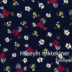收聽Hüseyin Işıktekiner的Küresel Hipnoz歌詞歌曲