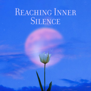 Best Sleep Music Academy的专辑Reaching Inner Silence (Music for Restful Night and Regeneration During Sleep)