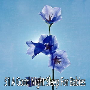 收听Nature Sounds Nature Music的Control Your Sleep歌词歌曲