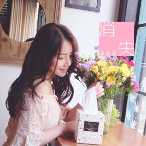 ดาวน์โหลดและฟังเพลง 消失 พร้อมเนื้อเพลงจาก 张晶晶