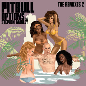 收聽Pitbull的Options (Damaged Goods Remix)歌詞歌曲