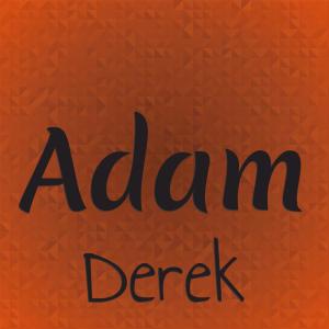 Various的专辑Adam Derek