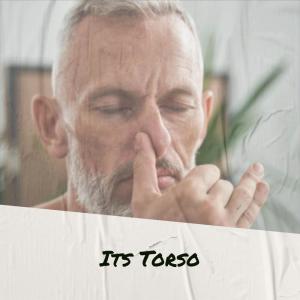 ดาวน์โหลดและฟังเพลง Its Torso พร้อมเนื้อเพลงจาก Kehan Niak