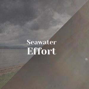 Various的专辑Seawater Effort