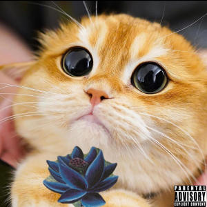 Yung Mox的專輯Mox Kitty (feat. Lil Kitty) (Explicit)