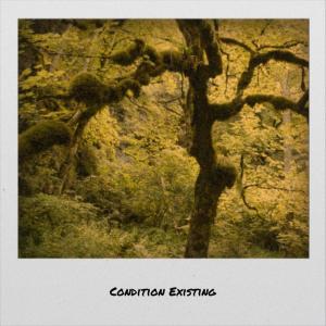 收聽Haruno Fade的Condition Existing歌詞歌曲
