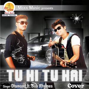 ดาวน์โหลดและฟังเพลง Tu Hi Tu Hai พร้อมเนื้อเพลงจาก Diamond