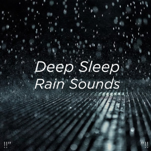 ดาวน์โหลดและฟังเพลง Lluvia En La Ventana พร้อมเนื้อเพลงจาก Meditation Rain Sounds