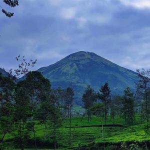 Listen to Musik Suasana Pedesaan Tenang song with lyrics from NYong Niode