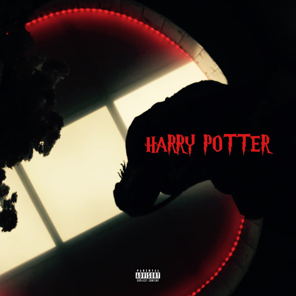 Harry Potter (Explicit)