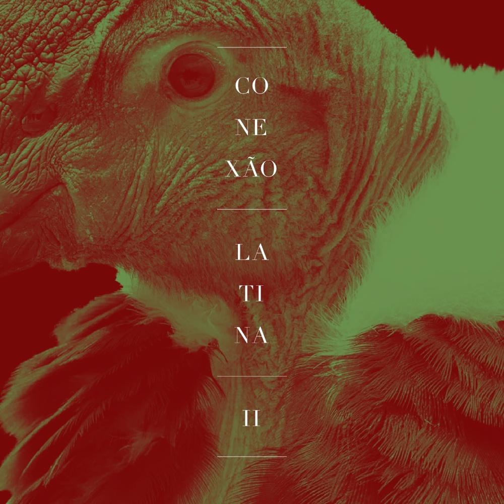 Soy el Pájaro Sin Alas