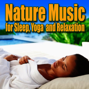 收聽Nature Sounds Nature Music的Solo Flight with Healing Songs of Birds for Deep Meditation and Contemplation歌詞歌曲