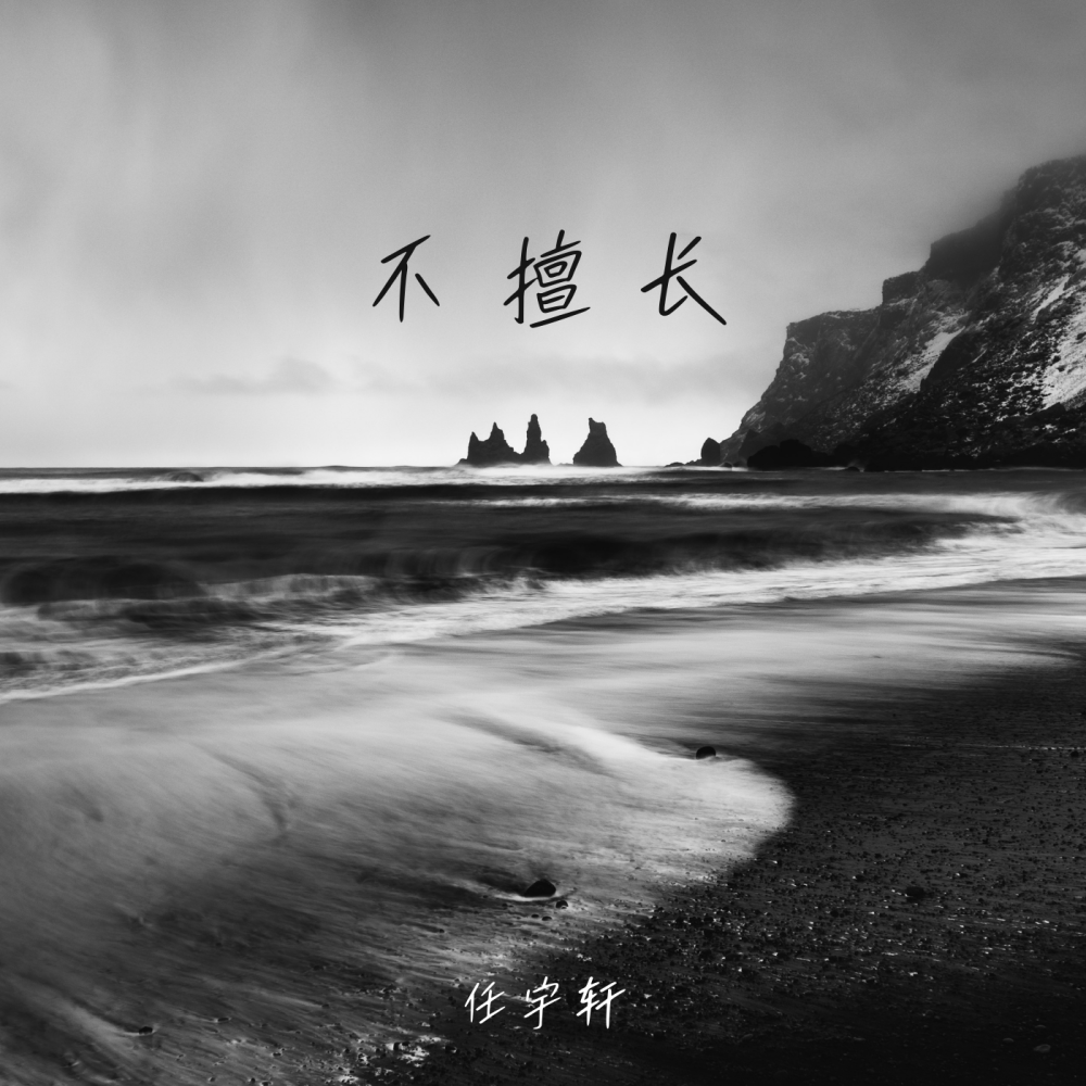 不擅长