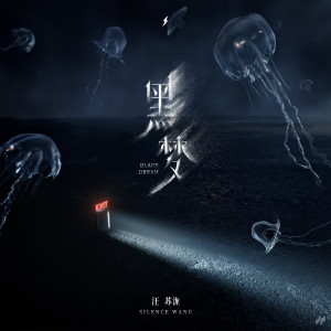 收听汪苏泷的黑梦歌词歌曲