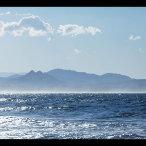 ดาวน์โหลดและฟังเพลง Compadres พร้อมเนื้อเพลงจาก Pro Sounds of Nature
