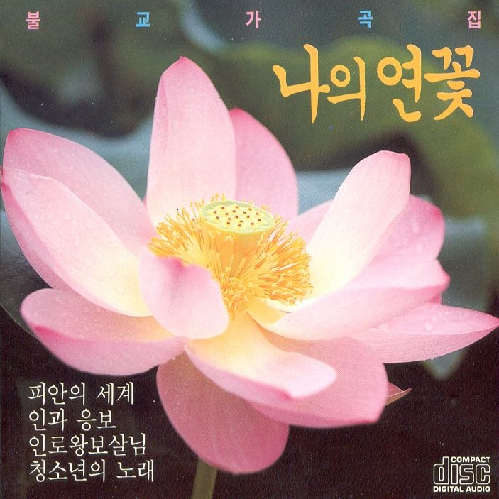 윤회