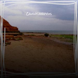 Album Caulocarpous from Various